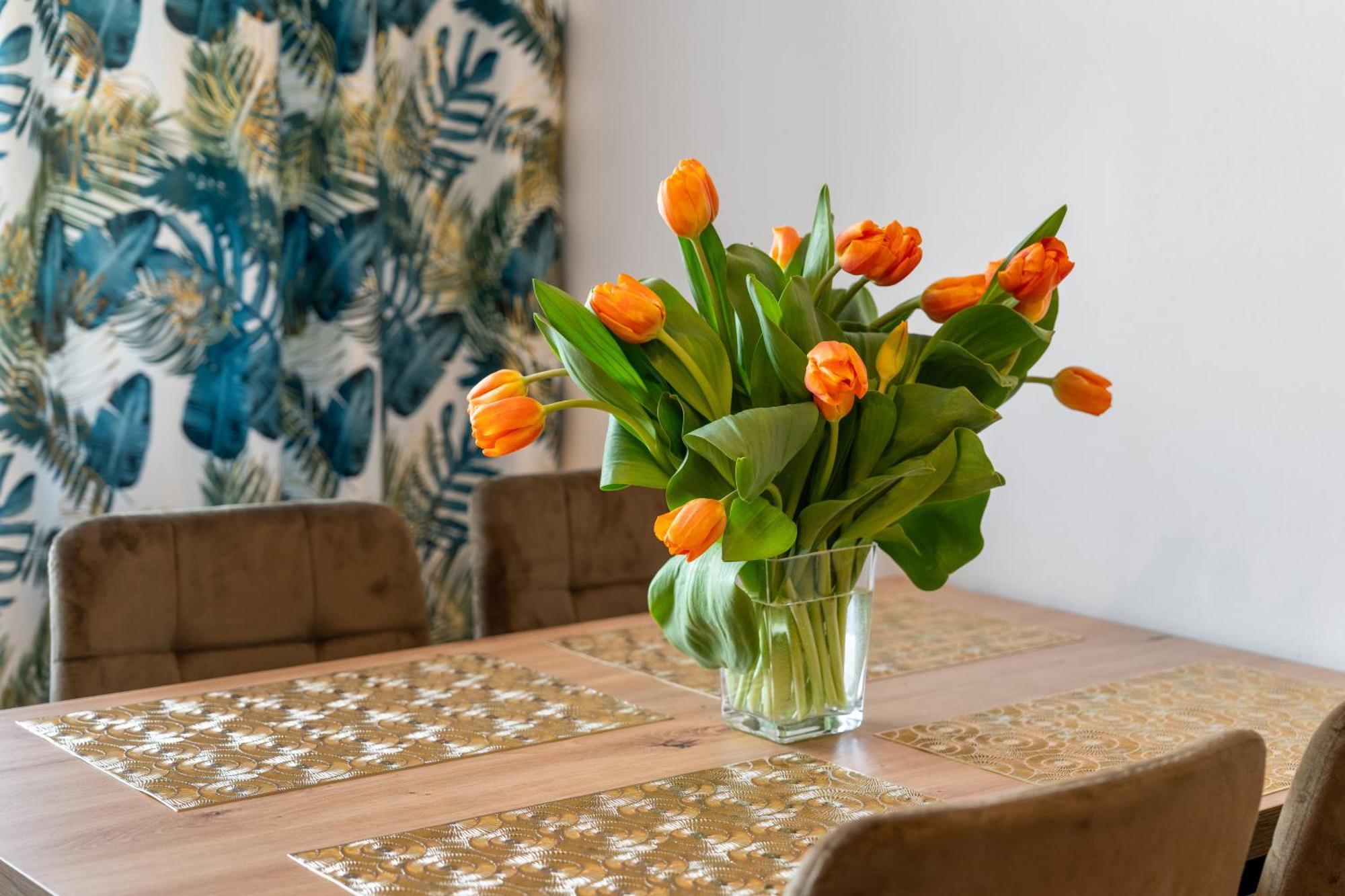 Apartment U Kostka